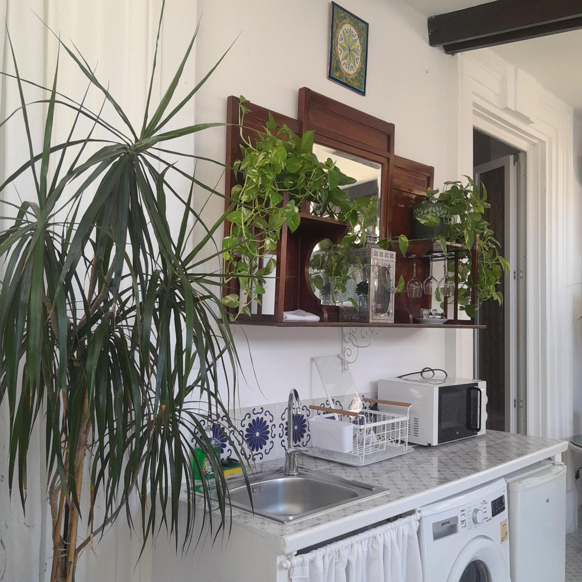 B&B Lido Liberty Lido di Ostia Exterior foto